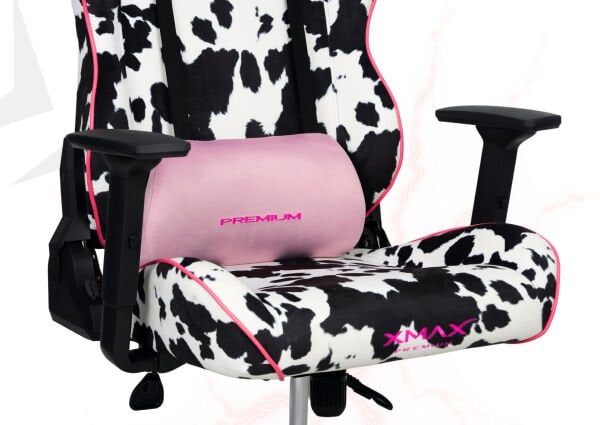 XMAX / Rio Balerion Terletmez Kadife Kumaş Dalmaçyalı Gaming Oyuncu Koltuğu / 120 Kg Taşır